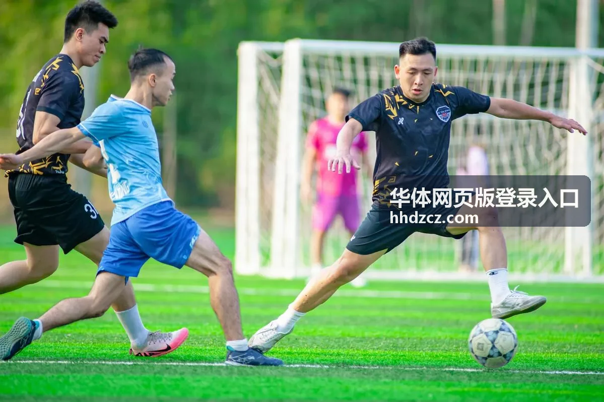 华体体育平台常见登录问题排查方法